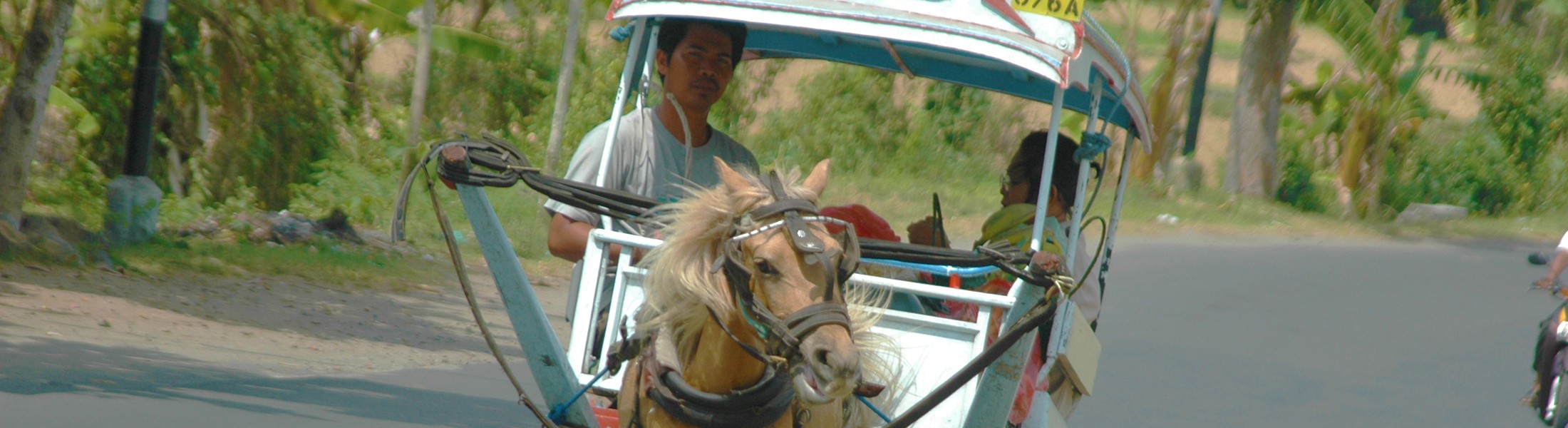 bestellung & lieferung