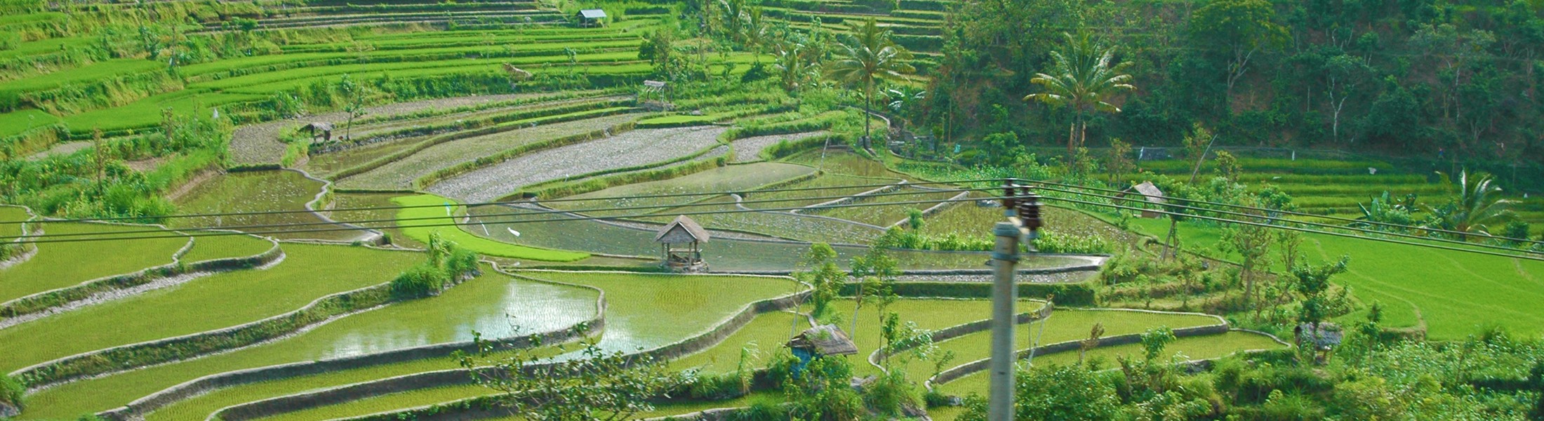 kundendienst - zahlung